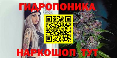 mdpv Будённовск