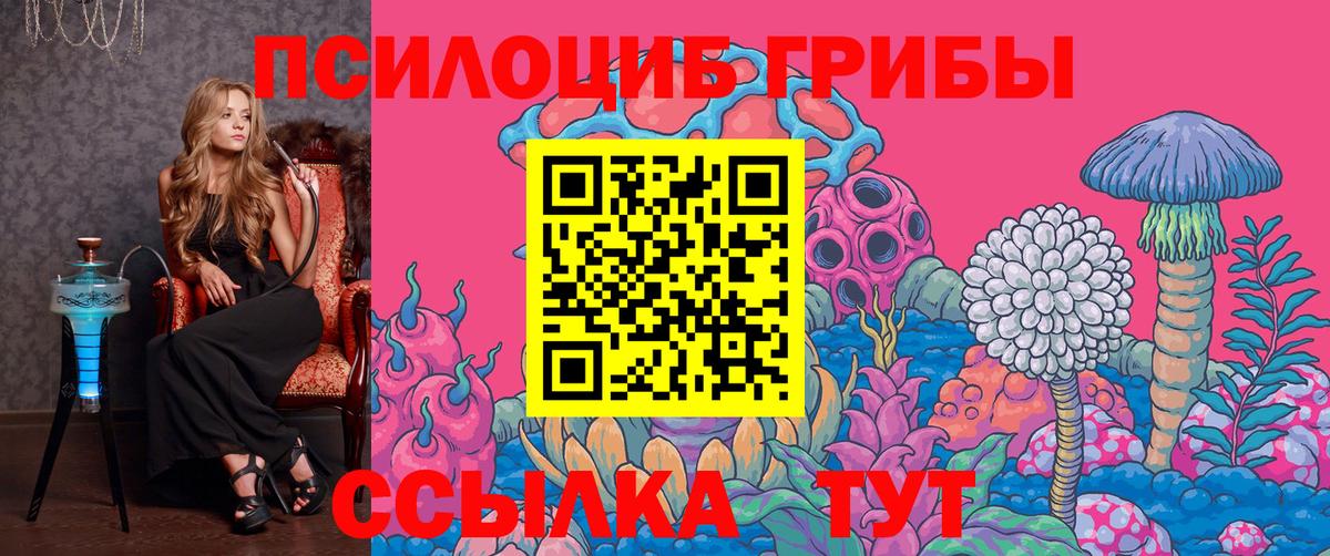 как найти закладки  Галлюциногенные грибы GOLDEN TEACHER  Вход с VPN  Галлюциногенные грибы MAGIC MUSHROOMS  Сочи 